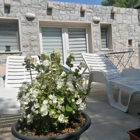 Under The Pine Apartman