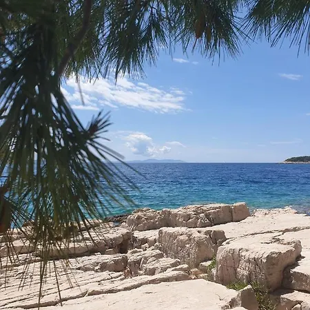 Under The Pine Apartment Milna (Brac)